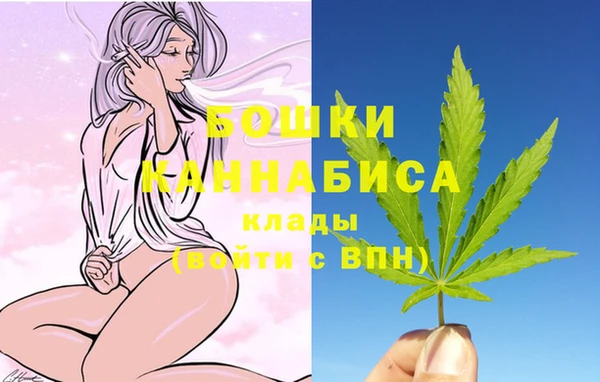 дмт Галич