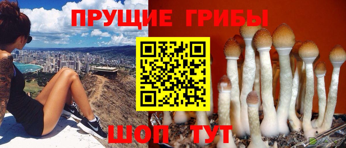 Галлюциногенные грибы GOLDEN TEACHER Губаха