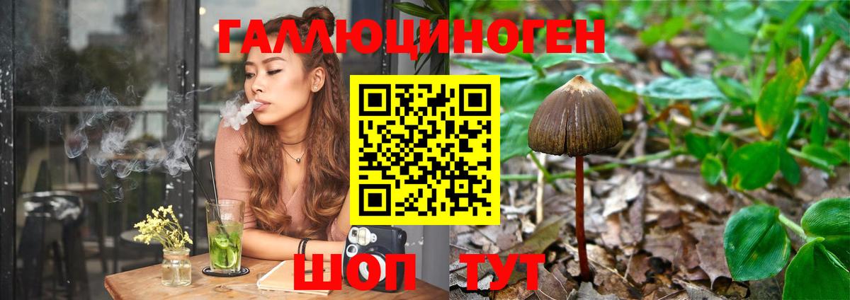 Галлюциногенные грибы Psilocybine cubensis  Губаха 