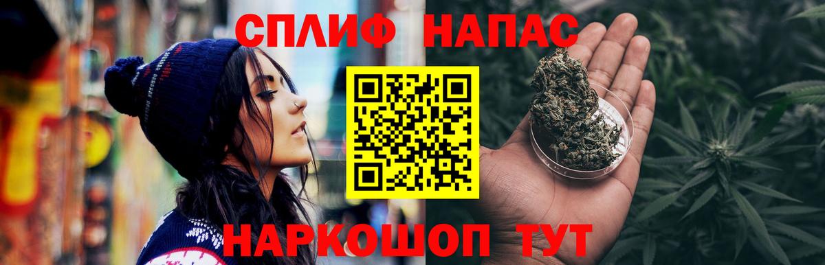Канабис конопля Губаха